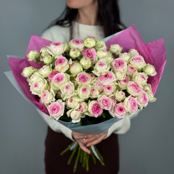 Букет из 21 кустовых пионовидных роз Джелатто